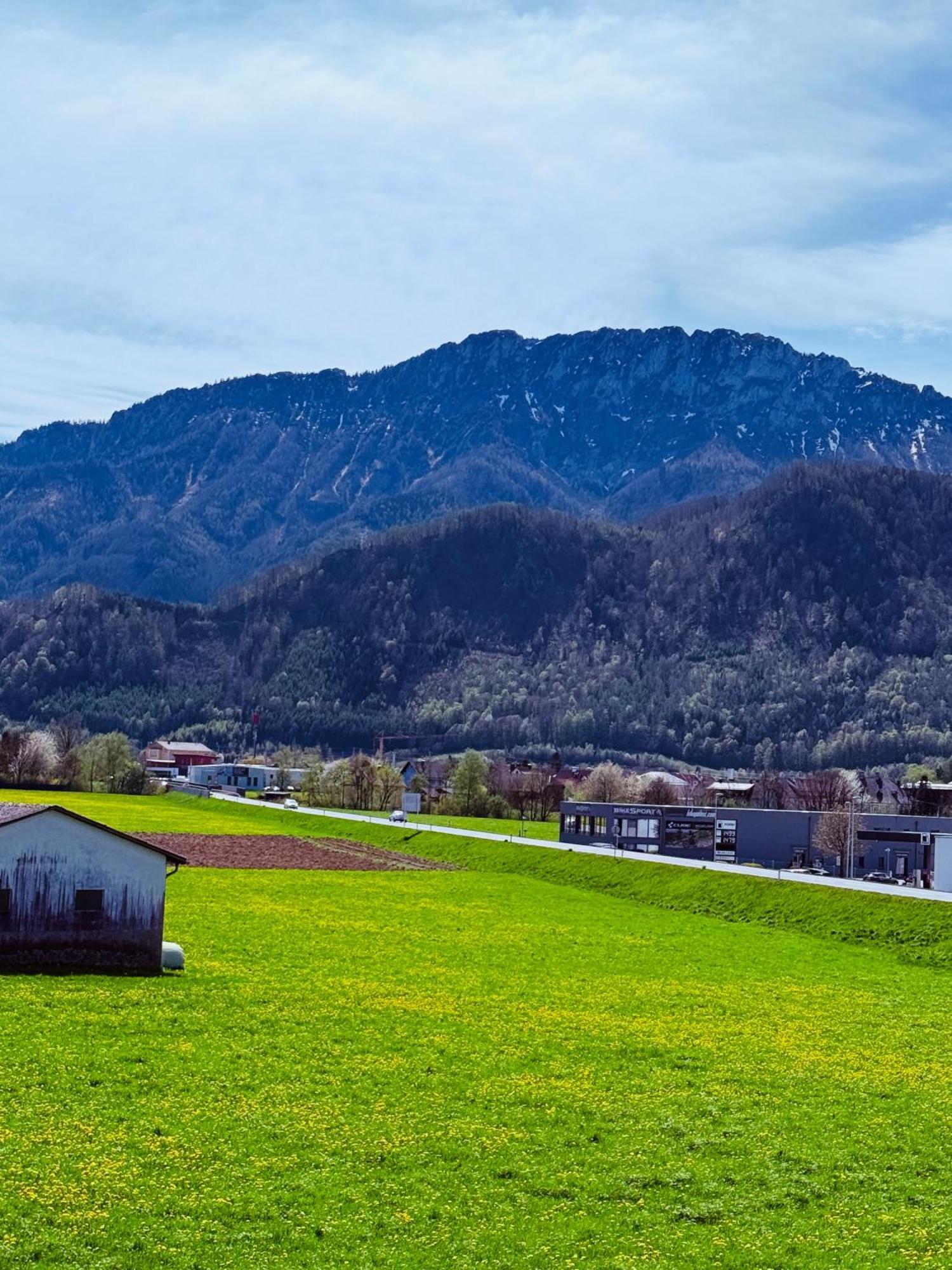 Zentrale Wohnung Mit Alpenblick Micheldorf in Oberosterreich Ngoại thất bức ảnh